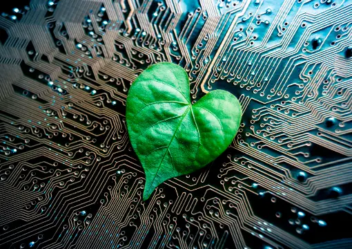 BG大游官网案例